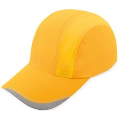 Gorra Strike Am-Fl