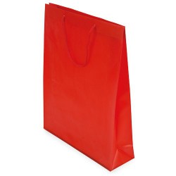 Bolsa Regalo Pvc Ro