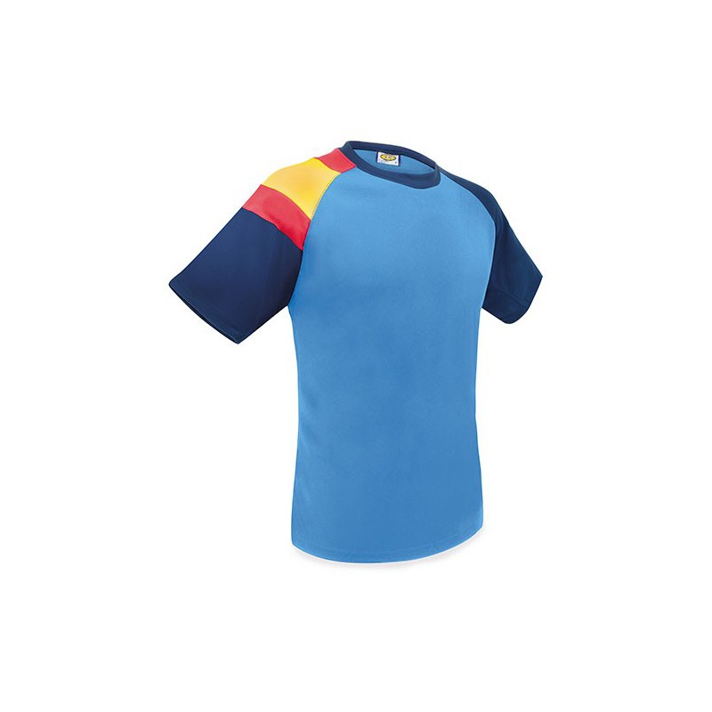 Camiseta Bandera D&f Az-Ry